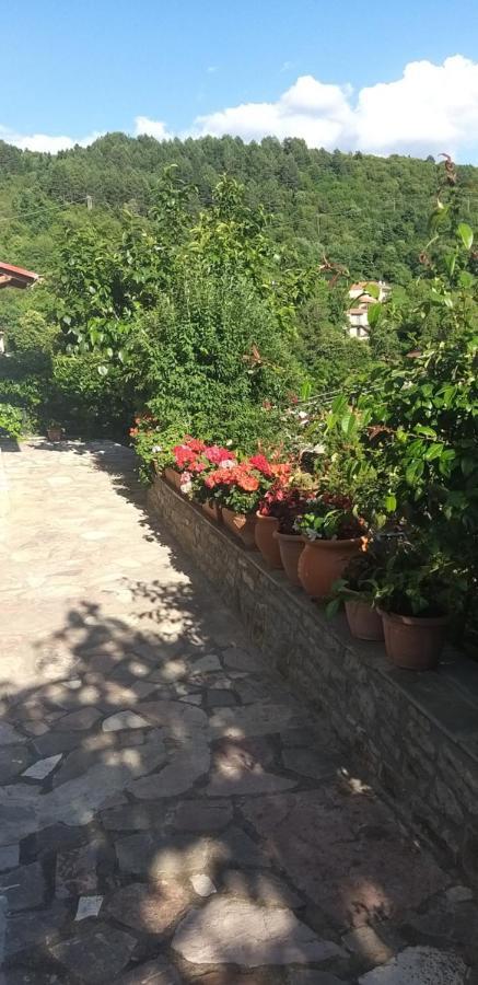 Το Σπίτι Της Ευτυχίας Στούντιο Apartment Karpenisi Exterior photo